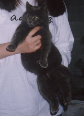 ママの子初代「クロ」２