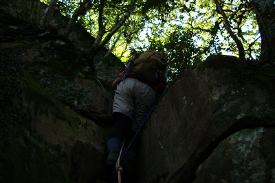 登ってますねー！