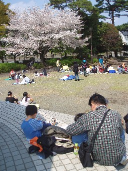 お花見♪