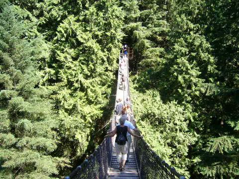 Lynn Canyon suspension bridge 2