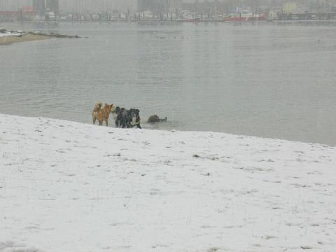 ２００６初雪３