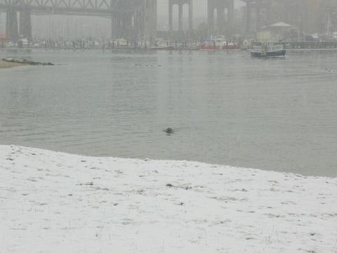 ２００６初雪４