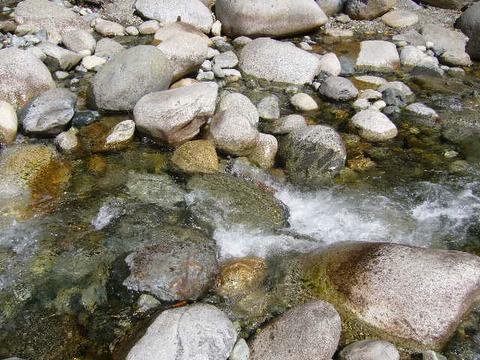 Lynn Canyon water 3