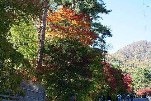 河口湖　紅葉祭りで.JPG