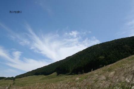 仙石原　d.JPG