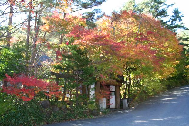 河口湖　紅葉祭りで d.JPG