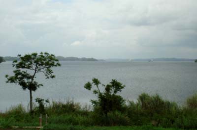 Esclusas de Gatun 11