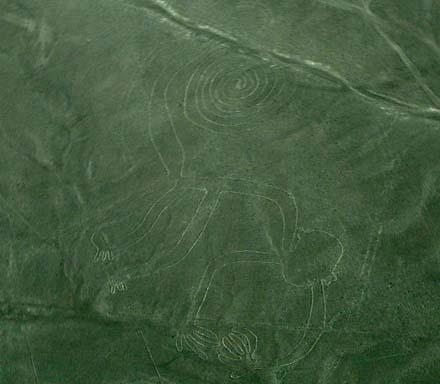 nazca5