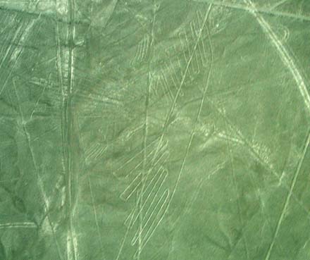 nazca6