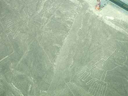 nazca9