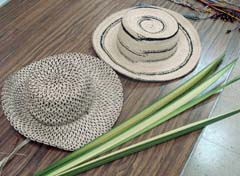 sombrero de Panama 1