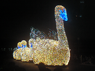 ドリームライツ　１９