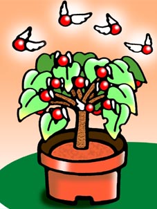 みいや