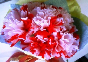 カーネーション２