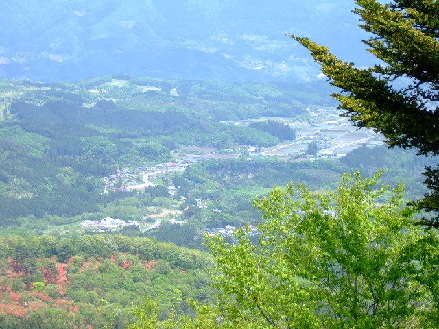 結構必死で撮りました