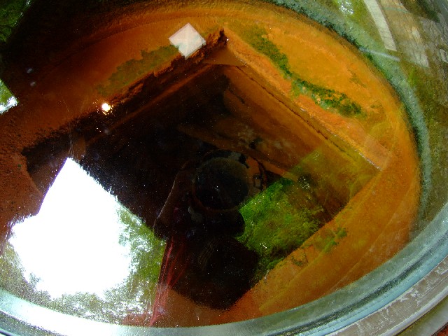 ここから湧いてます