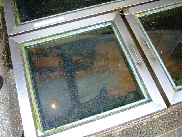 ここからも見えるよ