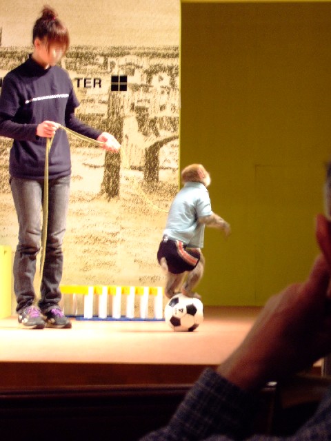 館長さん玉乗り