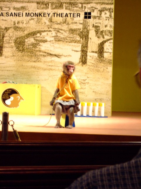 副館長は女の子