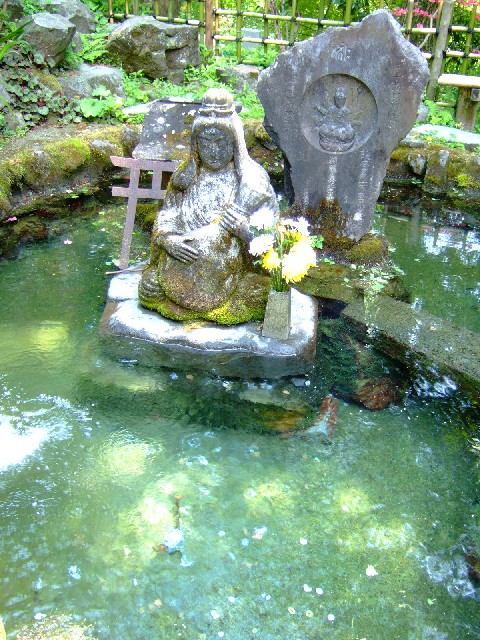 名前はなんていうのだろう・・・。