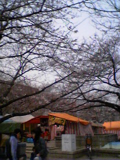 hanami