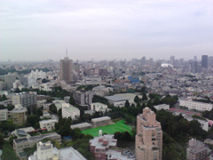 IMG_20110708_163604.jpg