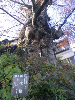 2011-11-24 00:06:57