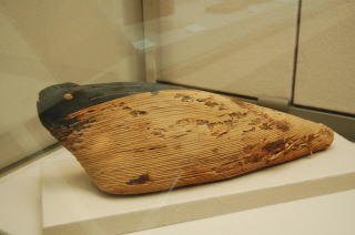 朱鷺のミイラ　エジプト　前１０００年紀