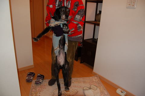 グレース羽交い締めだっこ