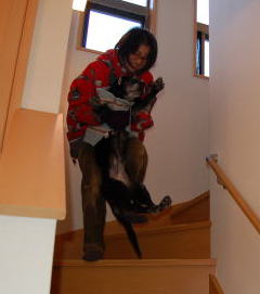 階段をあがるんは大変だあ！