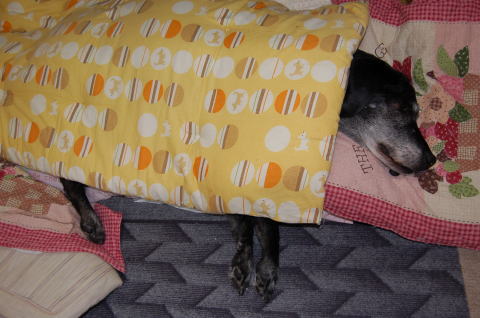 寝返りさせて・・・