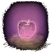 c-apple1-p.gif
