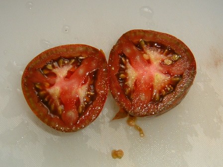 トマト　ブラック・プリンス