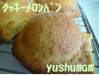 クッキー部分が多過ぎたメロンパン