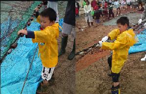 網を引いてます。