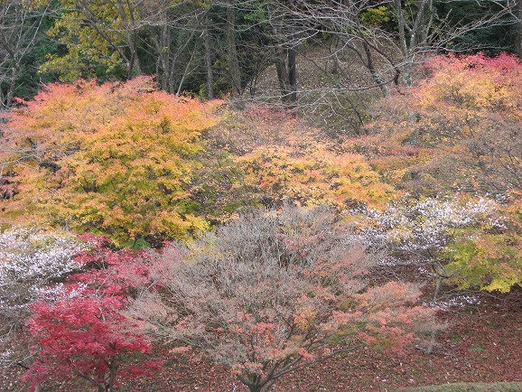 小原ふれあい公園　