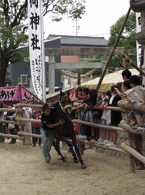 おまんと祭り３