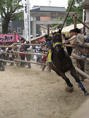 おまんと祭り６　カラ馬