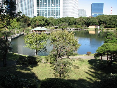 富士見山より潮入の池を望む