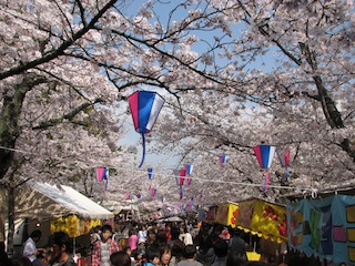 豊川市役所近隣２