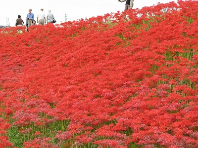 ２００８年９月２７日の矢勝川