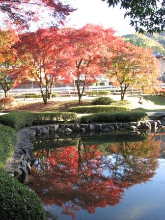 20081113　岐阜・土岐　曽木公園１