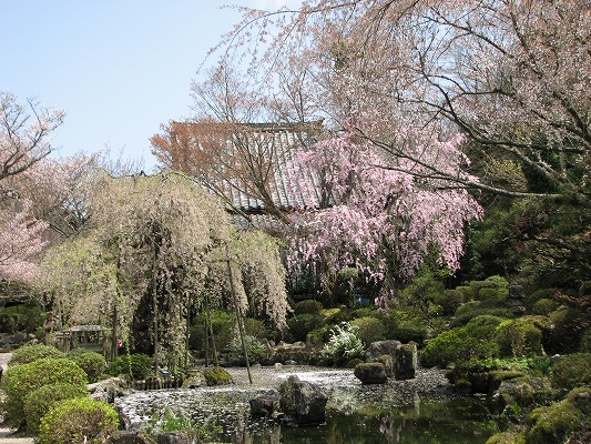 竹林院　　庭園