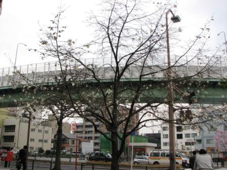 こぶし　名古屋市東区　白壁