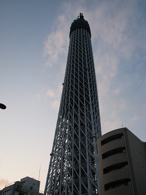 SKY TREE 2