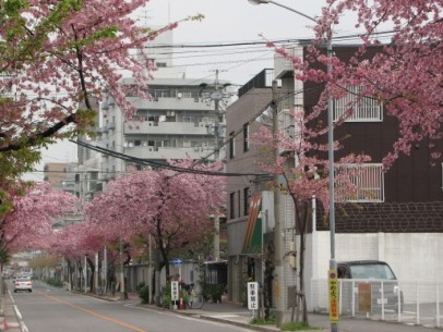 20080326 名古屋市東区　飯田通り（高岳郵便局前）