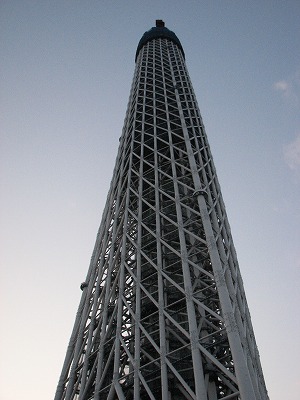 SKY TREE 3