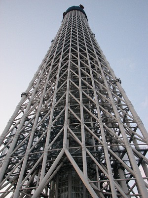 SKY TREE 4