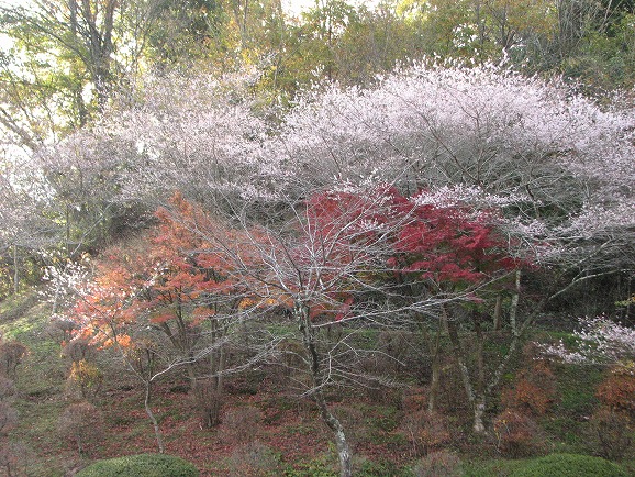 和紙のふるさと　２