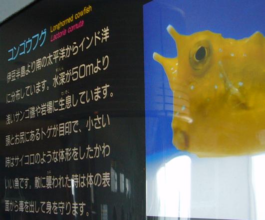 ブログ 078-1.JPG